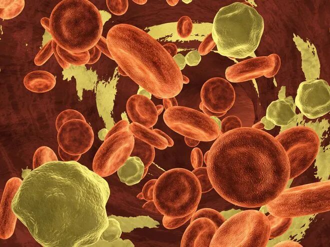 1766970959964244.jpg d35c34b358c3b631742967b079f7dc25.jpg