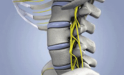 1774254920695560.jpg dbcaee4f81d91e8e65179a0b38e7ba6f.jpg