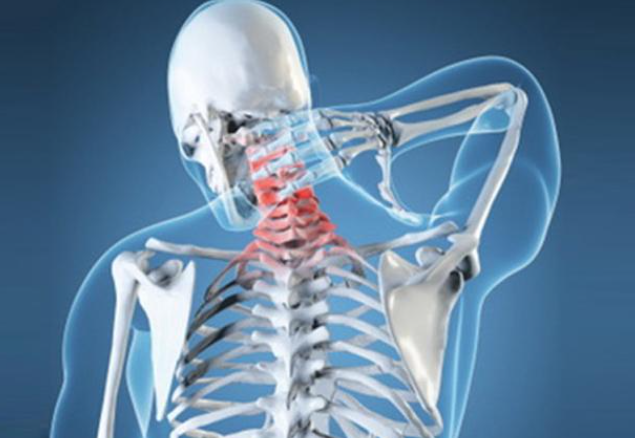 1774254941950200.png 5bdfe9f19a8f328ea8f8a654c70e0892.png