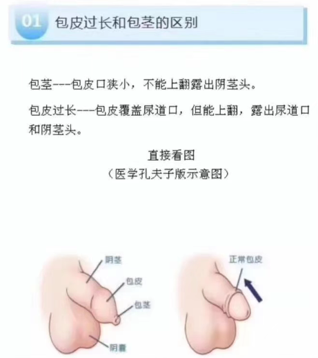 a6213465-e140-4758-b9e4-b0e9f29774c2.png