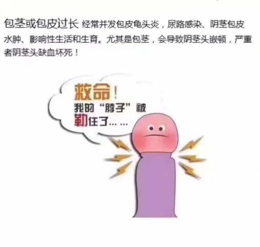 61bff703-f2b8-4f03-af69-ffb084556b99.png
